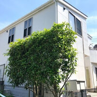 施工事例や塗装に関する情報などを発信