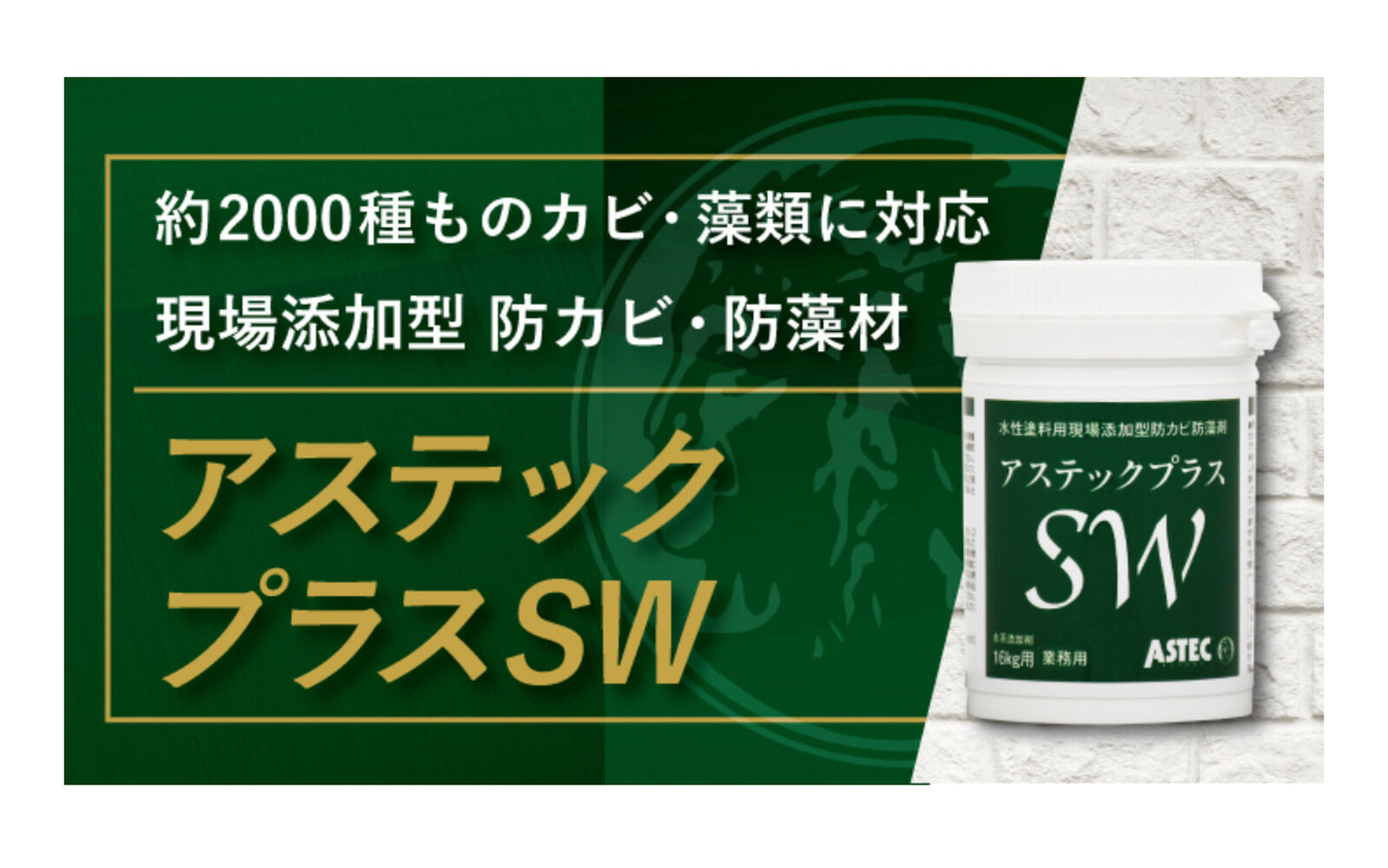 画像13311