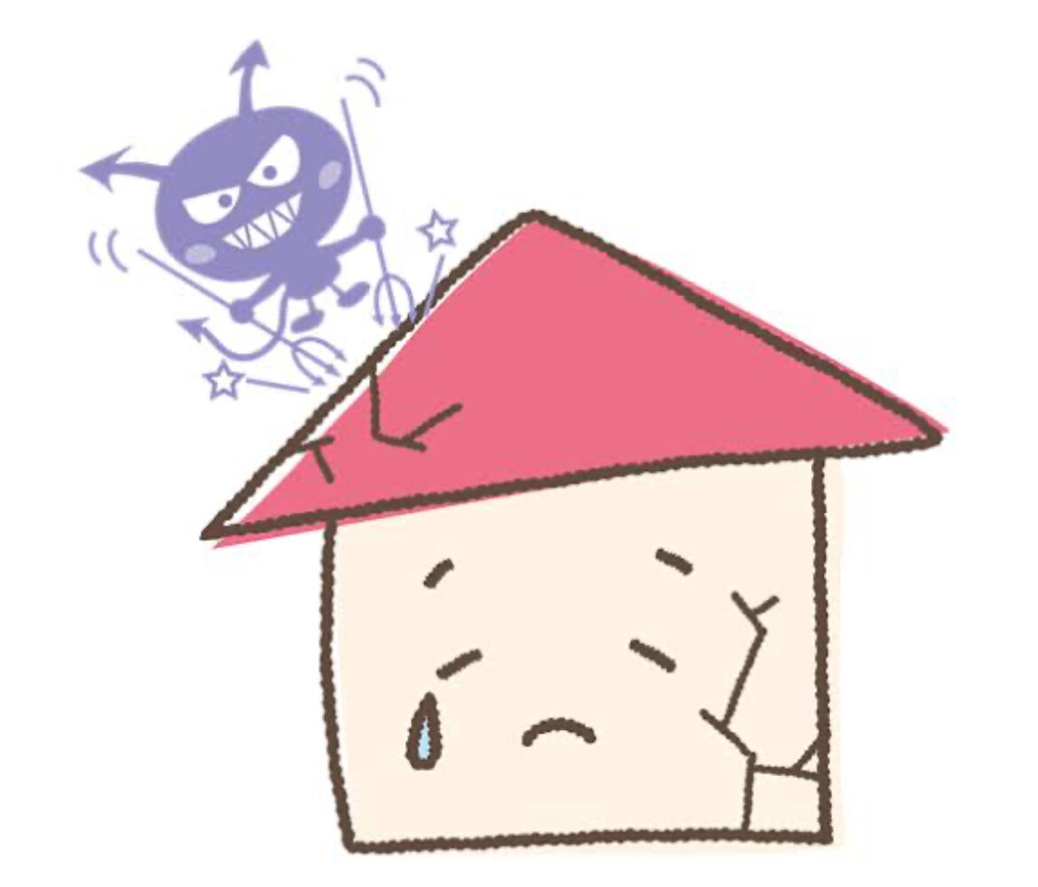 画像13962