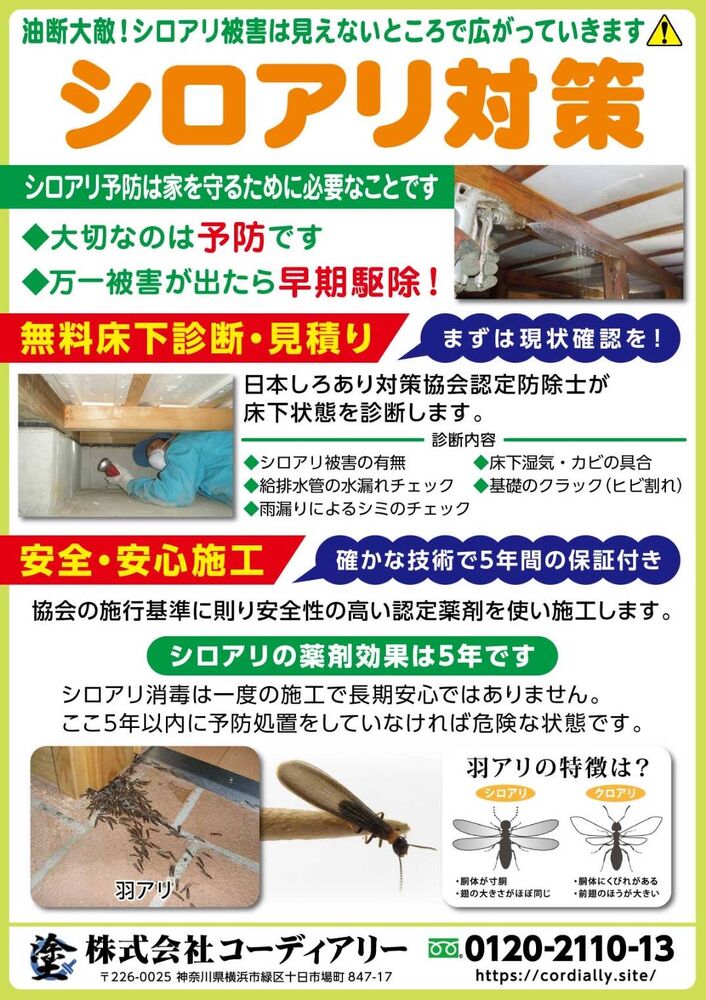 画像16287