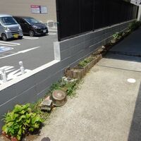 施工事例や塗装に関する情報などを発信